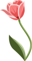 tulipán png gráfico clipart diseño