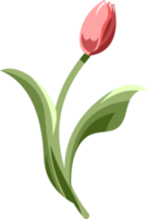 tulipa png gráfico clipart Projeto