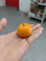 Little orange hold on the bare hand. The photo is suitable to use for fruit background and seller advertising.