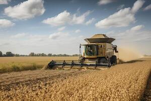 Harvesting of soybean field with combine. photo