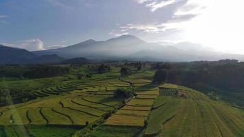 en kort video av de naturlig skönhet av indonesien i de morgon- med naturlig natur