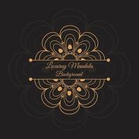 Creative luxury decorative mandala design for mehndi invitation card with black  background vector
