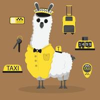 Cute funny lama cartoon alpaca taxi driver mascot animal hand drawn vector