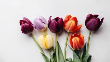 Set of seven different color tulip flowers isolated on white background. Created with generative AI. photo