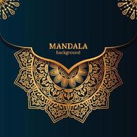 Luxury mandala decorative ethnic element background vector
