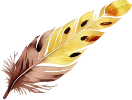 aquarelle de plumes colorées png