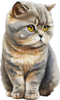 Cute Cat Watercolor Illustration png