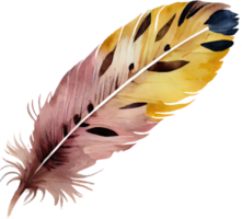 Colorful Feather Watercolor png