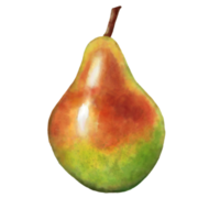 Watercolor and drawing for fresh green Pear. Digital painting of fruits and vegetables illustration. Regional Foods Concept. png