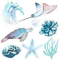Set of watercolor sea animals and plants. Underwater wildlife set. Manta, turtle, corals and algae vector