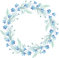 Forget-me-not wreath. Watercolor clipart png