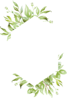 Aquarell Grün Rahmen png