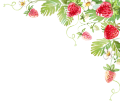 fraise Cadre. aquarelle clipart png