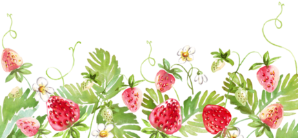 Erdbeere rahmen. Aquarell Clip Art png