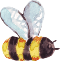 Watercolor bee. Hand-painted clipart png