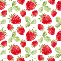 jordgubb sömlös mönster. handmålad illustration png