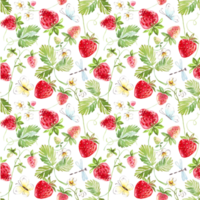 Strawberry seamless pattern. Hand-painted illustration png