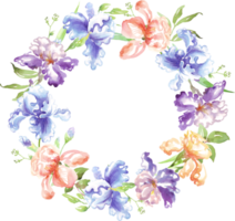 Watercolor iris wreath. Hand-painted clipart png