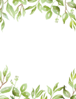 Watercolor greenery frame png