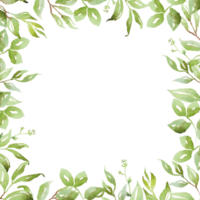 Watercolor greenery frame png