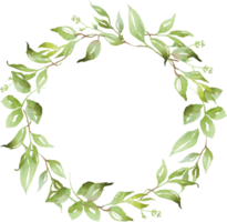 Watercolor greenery wreath png