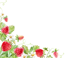 Strawberry frame. Watercolor clipart png