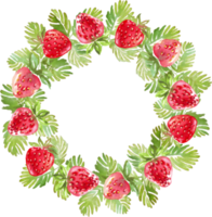 Strawberry wreath. Watercolor clipart png