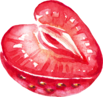 acquerello fragola. acquerello clipart png