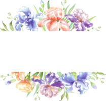 Watercolor iris frame. Hand-painted clipart png