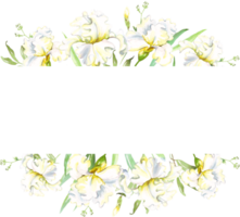 White irises frame. Watercolor clipart png
