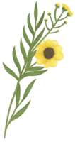 pintado a mano acuarela amarillo flor ramo de flores png