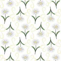 Modern seamless floral pattern, hand-drawn daisies on a white background. An elegant template for fashionable prints, printing, website design. vector