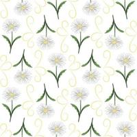 Modern seamless floral pattern, hand-drawn daisies on a white background. An elegant template for fashionable prints, printing, website design. vector