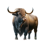 taureau vache animal vieux vache buffle bœuf klaxon du boeuf jouet blanc transparent png