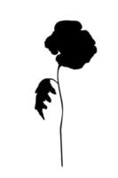 Elegant Poppy flower with leaf black silhouette on white background vector illustration. Hand drawn botanical design element.