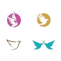 Bird wing Dove icon Template vector illustration