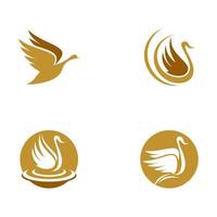 Swan icon Template vector