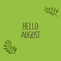 Green background with an inscription hello august and rowan leaves, vector illustration