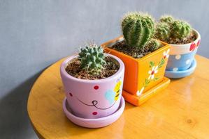 cactus plant in pots decoration on the table with concrete wall photo