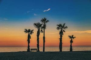 seaside landscape peace and quiet sunset and four palm trees on the beach and a bench photo