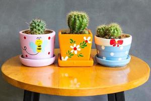 cactus plant in pots decoration on the table with concrete wall photo