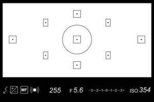 Digital camera interface with detail information vector