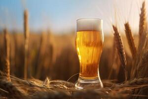 Glass of beer in a wheat field. . photo