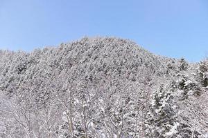 polvo nieve montaña en sapporo, Hokkaido Japón foto