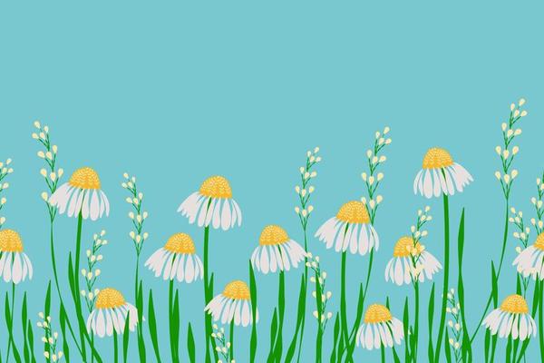 Daisy flower seamless pattern white flower on blue green background with green leaves meadow field design for fashion textile fabric interior wrapping paper etc.