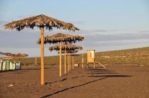 Umbrellas on the beach photo