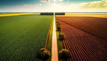 generativo ai, granja paisaje, agrícola campos, hermosa campo, país la carretera. naturaleza ilustración, fotorrealista parte superior ver zumbido, horizontal bandera. foto