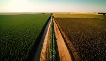 generativo ai, granja paisaje, agrícola campos, hermosa campo, país la carretera. naturaleza ilustración, fotorrealista parte superior ver zumbido, horizontal bandera. foto