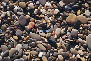 wet colorful pebbles on the beach photo