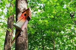 Colorful wooden birdhouse in spring park photo